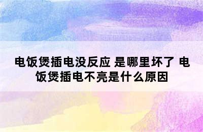 电饭煲插电没反应 是哪里坏了 电饭煲插电不亮是什么原因